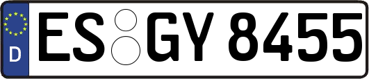 ES-GY8455