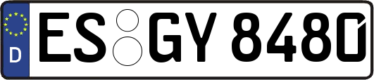 ES-GY8480