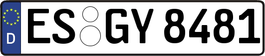 ES-GY8481