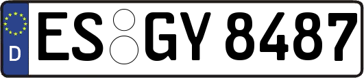 ES-GY8487