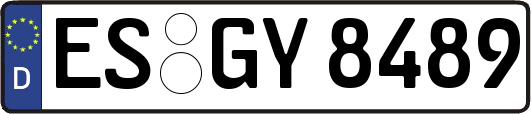 ES-GY8489
