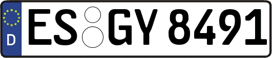 ES-GY8491
