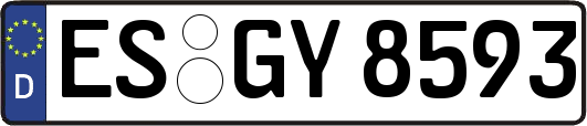 ES-GY8593