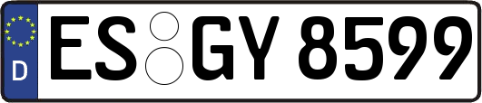 ES-GY8599