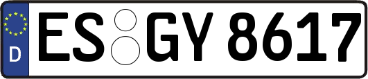 ES-GY8617