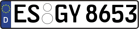 ES-GY8653