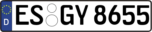 ES-GY8655