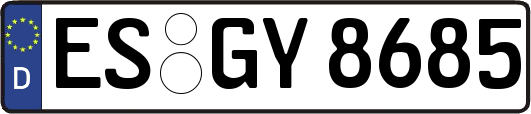 ES-GY8685