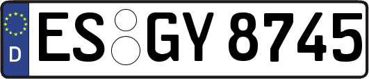 ES-GY8745