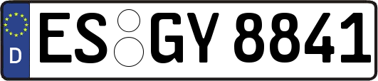 ES-GY8841