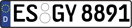 ES-GY8891