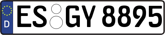 ES-GY8895