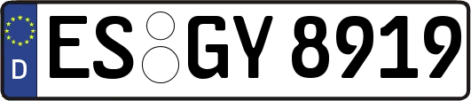 ES-GY8919
