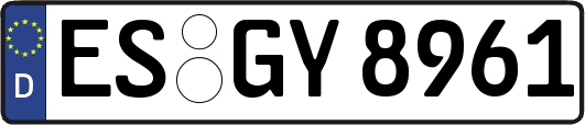 ES-GY8961