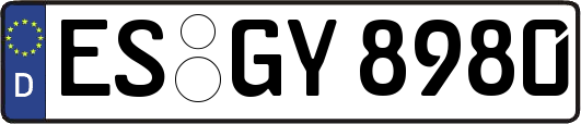 ES-GY8980