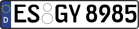 ES-GY8985