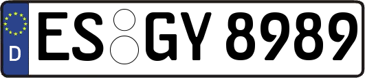ES-GY8989