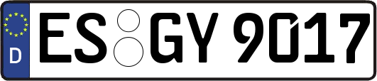 ES-GY9017