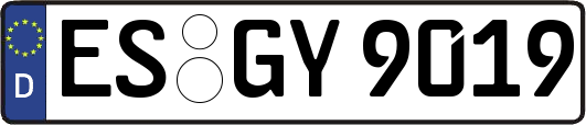 ES-GY9019