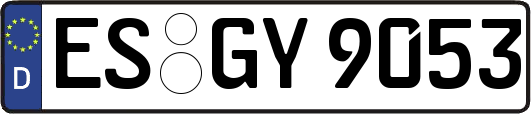 ES-GY9053