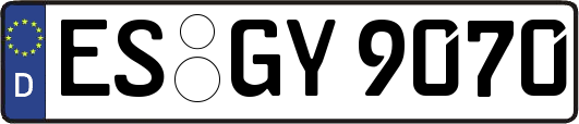 ES-GY9070