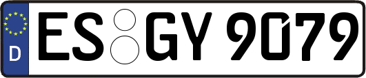ES-GY9079