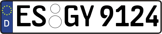 ES-GY9124