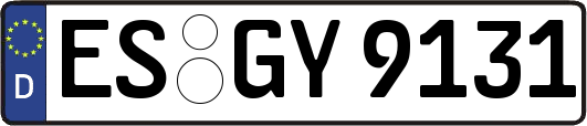 ES-GY9131