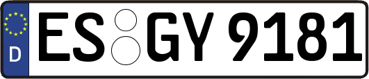 ES-GY9181