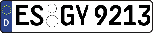 ES-GY9213