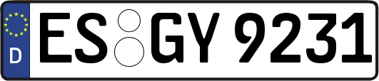 ES-GY9231