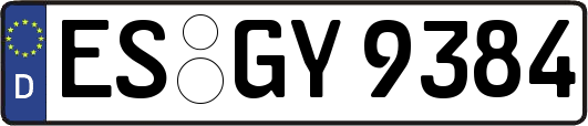 ES-GY9384