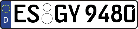 ES-GY9480