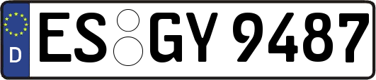 ES-GY9487