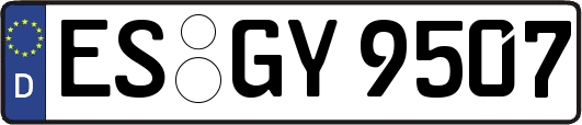 ES-GY9507