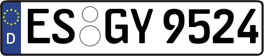 ES-GY9524