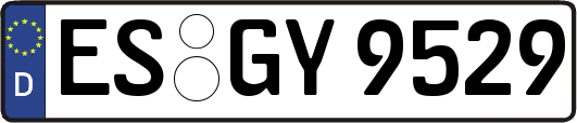 ES-GY9529