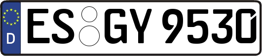 ES-GY9530