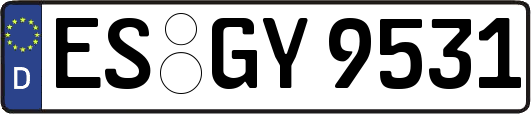 ES-GY9531