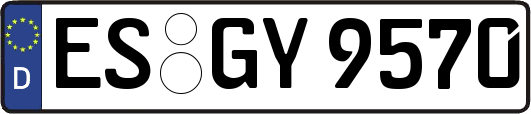 ES-GY9570