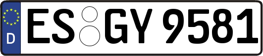 ES-GY9581