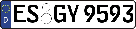 ES-GY9593