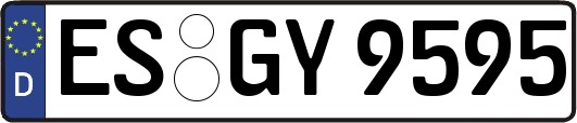 ES-GY9595