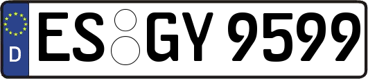 ES-GY9599