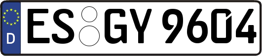 ES-GY9604