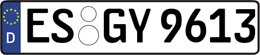 ES-GY9613