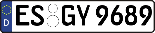 ES-GY9689