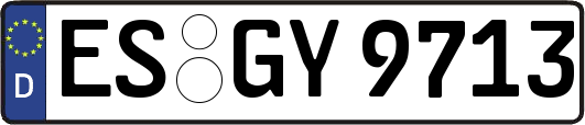 ES-GY9713