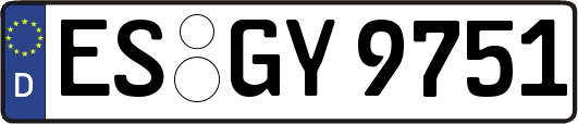ES-GY9751