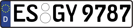 ES-GY9787